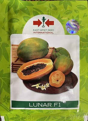 STOKIYA lunar f1 hybrid veriety papaya seed 1100seeds Seed(1100 per packet)