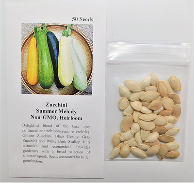 WILLVINE LX-120 Zucchini Mix Seed for Planting-200 Seed(200 per packet)