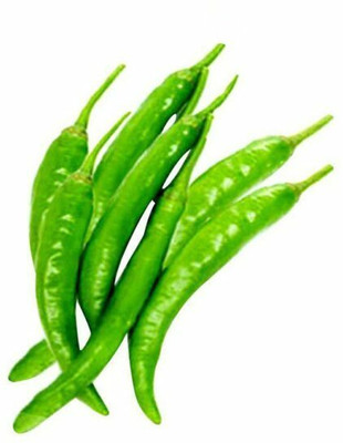 granthi Green Chilli (Hari Mirch) Seed(1800 per packet)