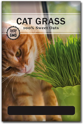 WILLVINE Non-GMO Hybrid Cat Grass Seeds for Planting Seed(2000 per packet)