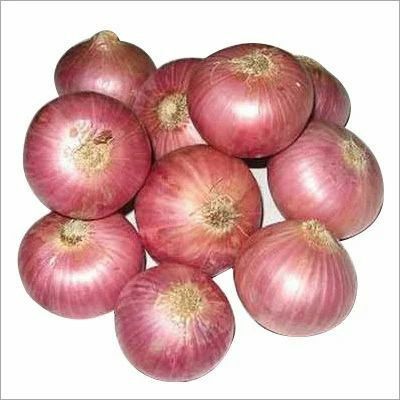 XOLDA Organic Red oniion Seed(45 per packet)