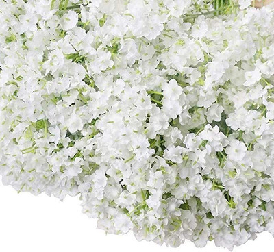 Aywal Gypsophila Good Germination Mixed Color Flower Seed(60 per packet)