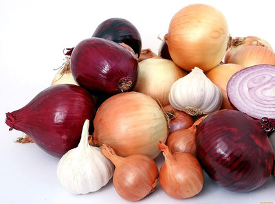 CYBEXIS XLR-74 - Onion Rainbow Mix Neutral - (1500 Seeds) Seed(1500 per packet)