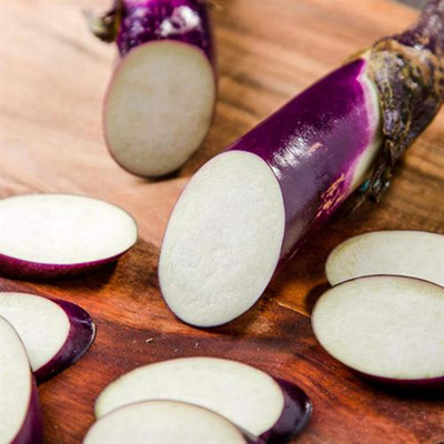 KNESSiN Brinjal Long Purple Seed(200 per packet)