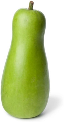 UGRA Rama Bottle gourd Seeds Seed(100 per packet)