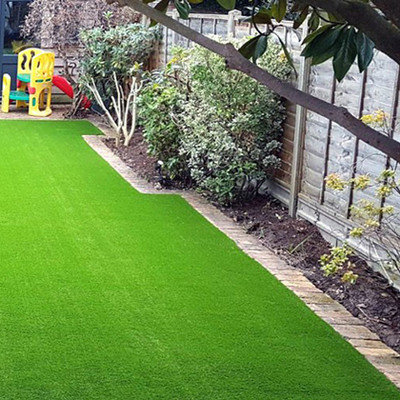 PMA Lawn Grass Seed/Grass Seed for Gardening / Playground/Park, Grass Seed(4000 per packet)