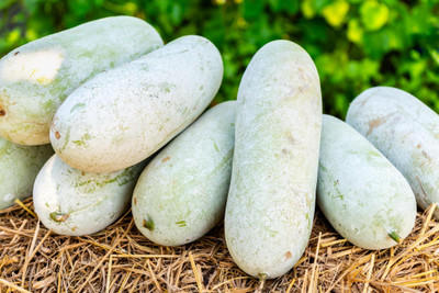 abiswas Ash Gourd Seed(420 per packet)