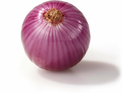 XOLDA Organic onion Seed(15 per packet)