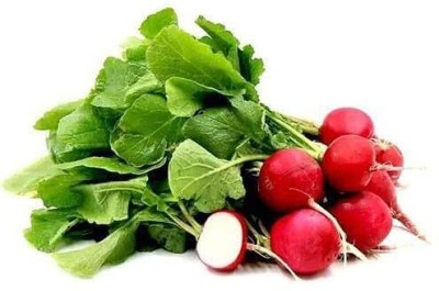 Lorvox Red Gol Radish (Mooli Ke Beej) Seed(750 per packet)