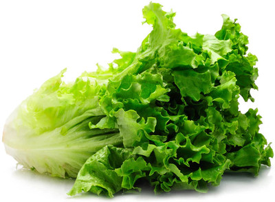 DEYS AGRO ™ Fresh Green Lettuce Seeds – Fast Growing, High Yield Seed(50 per packet)