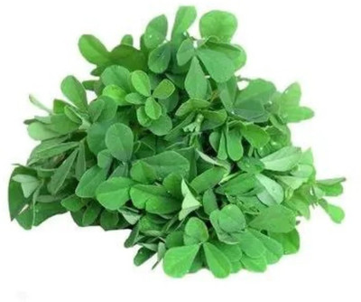 GREENWIN FENUGREEK LEAVES / METHI DESI VEGETABLE Seed(120 per packet)