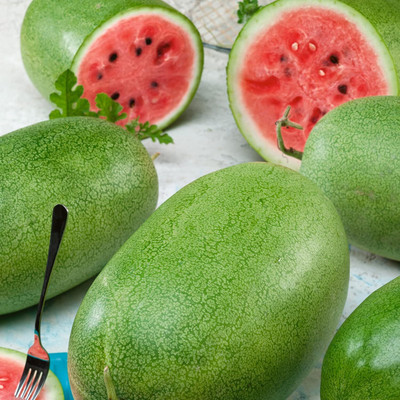 KNESSiN Heirloom Sweet Princess Watermelon Seeds for Terrace Gardening-(100 Seeds) Seed(100 per packet)