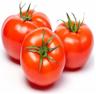 VRAKSHA Oganic Tomatoes Seed(500 per packet)