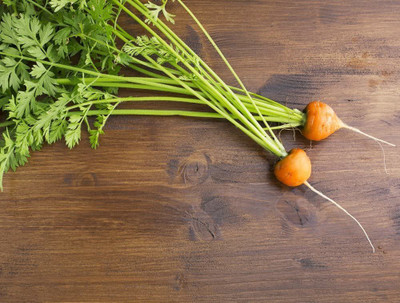 CYBEXIS Round Carrot Pariser Seeds 4000 Seeds Seed(4000 per packet)