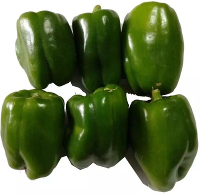 Kirat Capsicum Green Bell Pepper Seed(100 per packet)