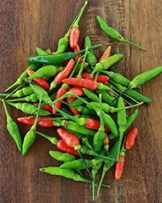 KNESSiN Thai Chili - Bird Chilli -Red-{800 Seeds} Seed(800 per packet)