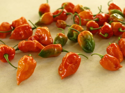 Qualtivate HYB-7A GHOST PEPPER - WORLDS HOTTEST Seed(300 per packet)