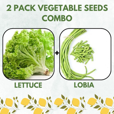 Infiniteseeds 2 Pack Combo Of Lettuce And Lobia Vegetable Seeds Seed(50 per packet)