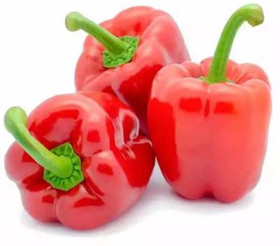 VASUDHA Organic Red Bell Pepper Capsicum Seed(100 per packet)
