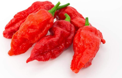 Biosnyg High Germination Red Ghost Chilli Seeds For Gardening-(2000 Seeds) Seed(2000 per packet)