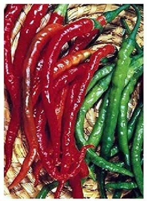 CYBEXIS Cayenne Pepper (Capsicum annum) Seeds - Pepper and Chili Pepper600 Seeds Seed(600 per packet)