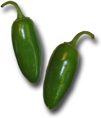 Biosnyg Non GMO Early Jalapeno Pepper Vegetable Seeds For Gardening-(2000 Seeds) Seed(2000 per packet)