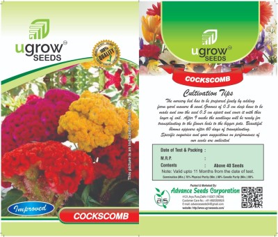agri max gardens AGRIMAX GARDENS COCKSCOMB SEEDS COCKSCOMB PLANT COCKSCOMB FLOWER Seed(35 per packet)