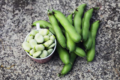 Avysa Organic Bakla/Broad Beans Vegetable Seed(40 per packet)