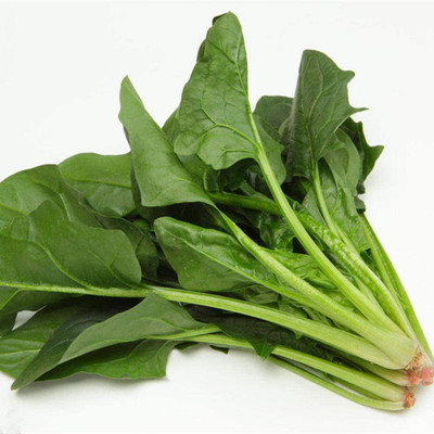 CYBEXIS Spinach Seed Wheat Bolting-Resistant Spinach4000 Seeds Seed(4000 per packet)