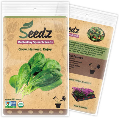 CYBEXIS PAU-28 - Butterflay Spinach - (2250 Seeds) Seed(2250 per packet)