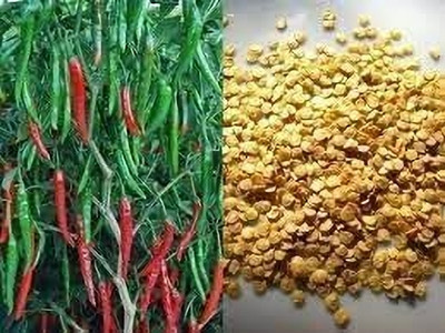 LPR CHILLI,HARI MIRCHI Seed(200 per packet)
