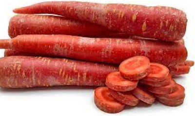 Quentova Atomic Red Carrot-6T-XLR Seed(250 per packet)
