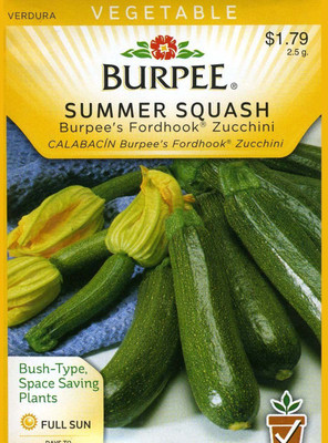 CYBEXIS LX-13 - Squash Summer Fordhook Zucchini - (225 Seeds) Seed(225 per packet)