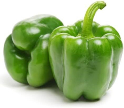 KNESSiN High Yield Bellboy Green Capsicum Seeds for Terrace Gardening-(100 Seeds) Seed(100 per packet)