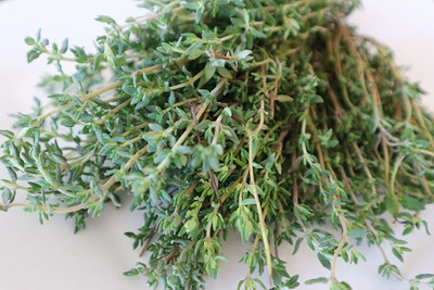 VibeX KGF -37 - Thyme for Planting - (150 Seeds) Seed(150 per packet)