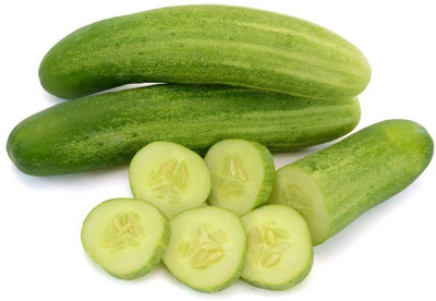Quentova Carolina Cucumber Seeds,Heirloom Seeds-VXL-10Y Seed(300 per packet)