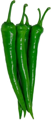 Quentova High Quality Green Chilli हरी मिर्च-11Z-RJ Seed(250 per packet)