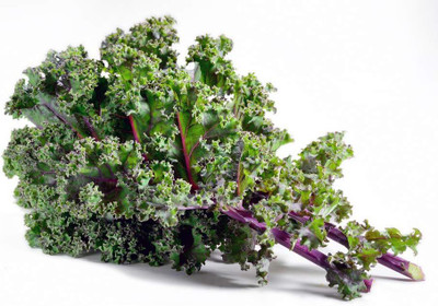 WILLVINE AMR -VII Red Russian Kale Seeds for Planting [1g] Seed(300 per packet)