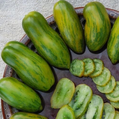 Biosnyg High Germination Green Sausage Tomato Seeds For Kitchen Gardening - (2000 Seeds) Seed(2000 per packet)