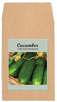 CYBEXIS Hybrid Vegetable Seeds-Cucumber Chicago Pickling1000 Seeds Seed(1000 per packet)