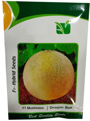 CYBEXIS LXI-90 - Nirupama Imported Muskmelon - (1350 Seeds) Seed(1350 per packet)