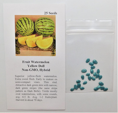 CYBEXIS XL-12 - Watermelon Yellow Doll - (1350 Seeds) Seed(1350 per packet)
