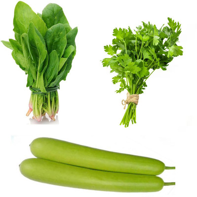 PSAgroinput Palakbhaji (spinach)- Daniya(coriander )-Lauki (bottlegourd)pack of 3 Seed(100 g)