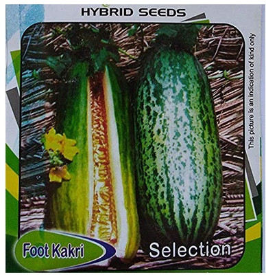 KNESSiN Foot Kakri Seeds Seed(150 per packet)