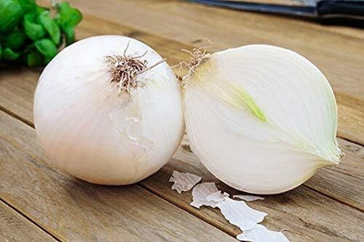 Qualtivate GBPT-2A Onion Snow White Seeds Seed(500 per packet)