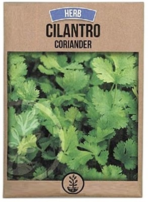 KNESSiN Slow Bolt Cilantro Seed(200 per packet)