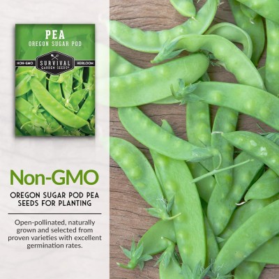 Qualtivate HUA-5A Oregon Sugar Pod II Pea Seeds Seed(200 per packet)