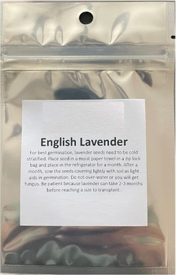 VibeX ® VMR-300 Common English Lavender Seed(500 per packet)