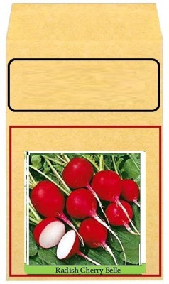 CYBEXIS Red Round Radish Hybrid Seeds2400 Seeds Seed(2400 per packet)