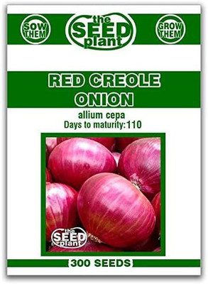 CYBEXIS VXI-2 - Red Creole Onion - (13500 Seeds) Seed(13500 per packet)